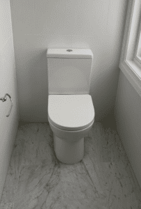 Blocked Toilet